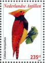 Ringed Woodpecker (Celeus torquatus)